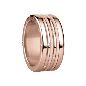 Bering Arctic Symphony Ring bei Juwelier Kröpfl