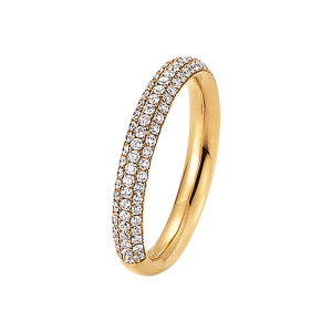 Palido Joy Ring S2461/G/47 bei Juwelier Kröpfl