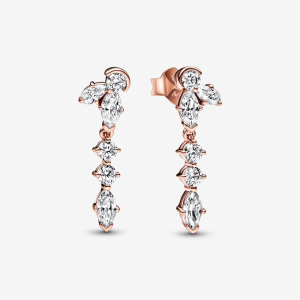 Pandora Timeless Funkelnde Herbarium Cluster Ohrringe 282404C01 bei Juwelier Kröpfl