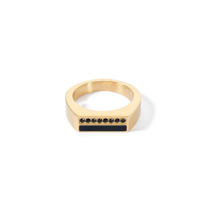 Coeur de Lion Ring Square Stripes gold-schwarz 013340131652 bei Juwelier Kröpfl