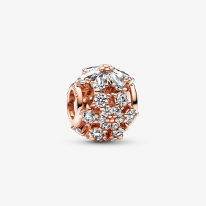 Pandora Timeless Funkelndes Herbarium Cluster Rundes Charm 782383C01 bei Juwelier Kröpfl