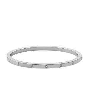 Fossil Armreif Sadie Shine Bright Edelstahl JF04420040 bei Juwelier Kröpfl