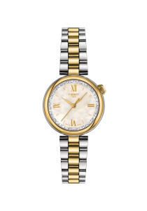 Tissot T-Lady Desir 28 mm T152.010.22.118.01 bei Juwelier Kröpfl